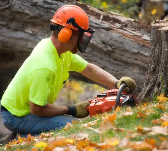 tree services Montevideo